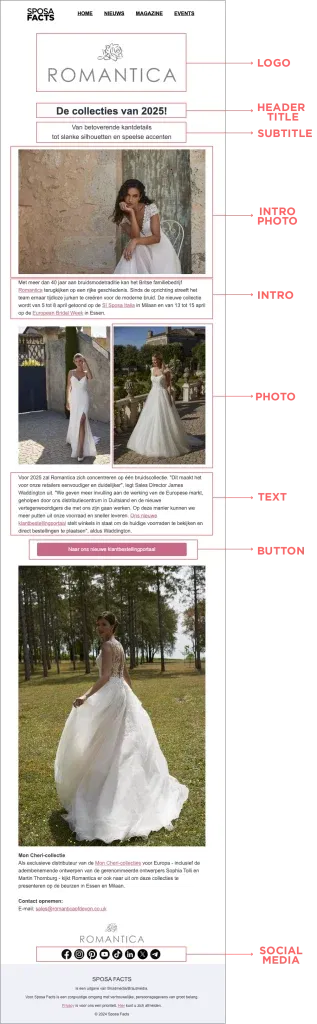 Voorbeeld van een nieuwsbrief